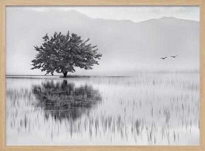 A serene black and white landscape photograph of a solitary tree standing in a calm lake, its reflection mirrored perfectly in the water. Hazy mountains are visible in the distance, and two birds fly across the pale sky, all enclosed within a silver frame. Print