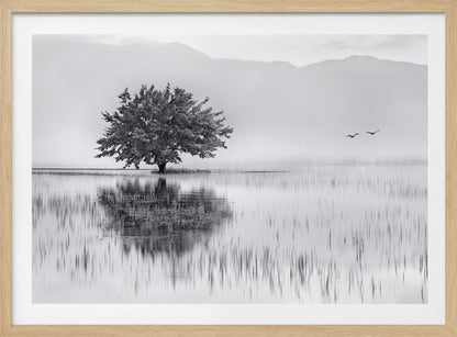 A serene black and white landscape photograph of a solitary tree standing in a calm lake, its reflection mirrored perfectly in the water. Hazy mountains are visible in the distance, and two birds fly across the pale sky, all enclosed within a silver frame. Print