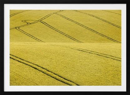 A framed photograph of a vast, rolling field of golden-yellow crops, with dark tractor tire tracks creating curving and diagonal lines across the hilly landscape. Decor