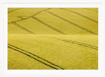 A framed photograph of a vast, rolling field of golden-yellow crops, with dark tractor tire tracks creating curving and diagonal lines across the hilly landscape. Decor
