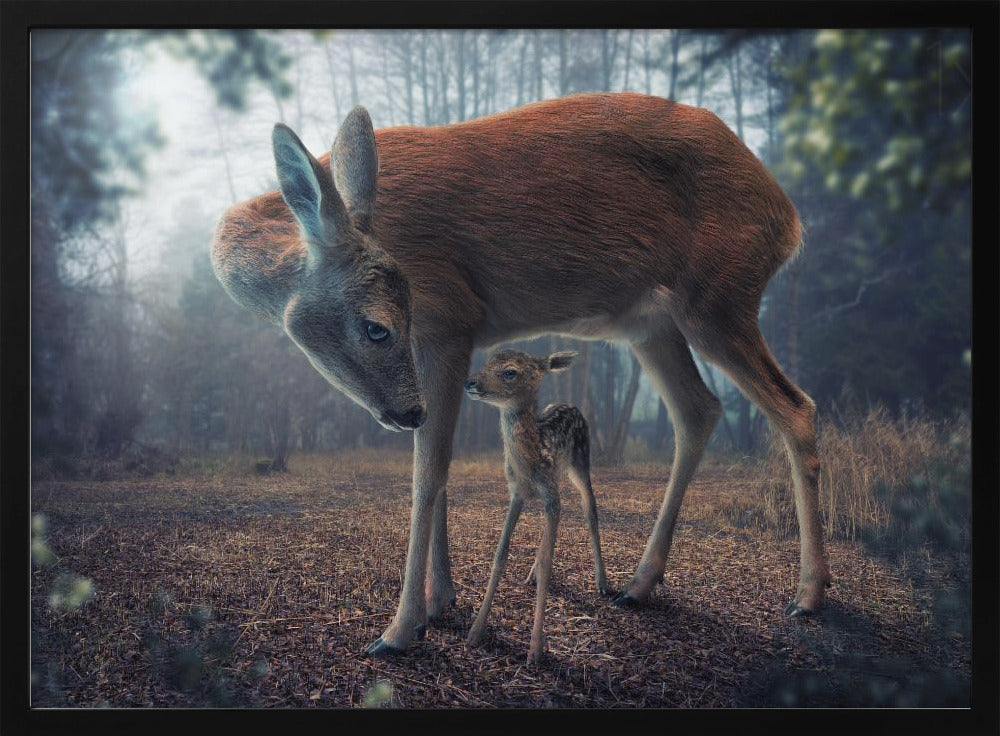 Mother and Fawn - Poster / Art Print