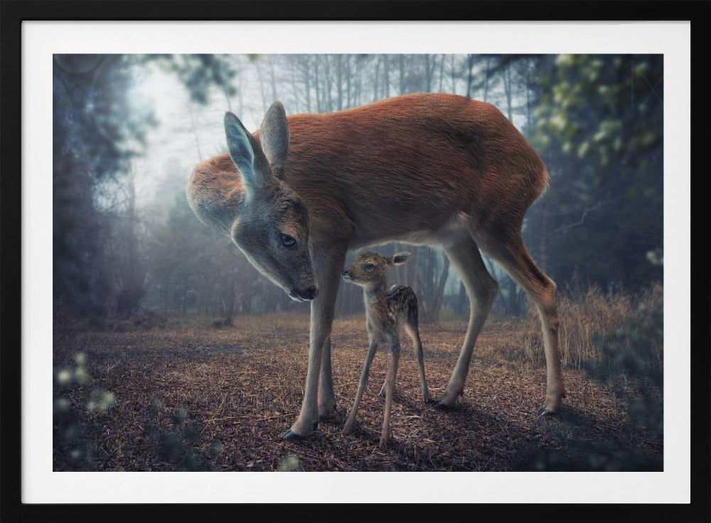 Mother and Fawn - Poster / Art Print