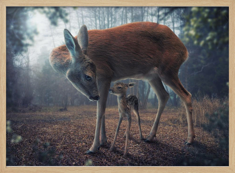 Mother and Fawn - Poster / Art Print