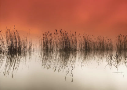 A minimalist landscape photograph in a silver frame, showing dark reeds silhouetted against a vibrant solid orange sky. The calm water perfectly reflects the reeds and the warm glow of the sky, creating a serene and abstract scene. Print