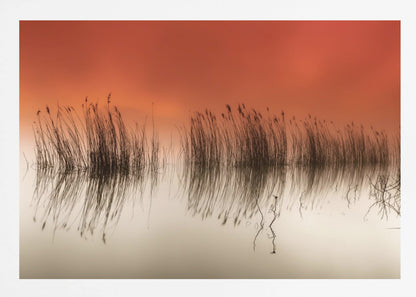 A minimalist landscape photograph in a silver frame, showing dark reeds silhouetted against a vibrant solid orange sky. The calm water perfectly reflects the reeds and the warm glow of the sky, creating a serene and abstract scene. Print