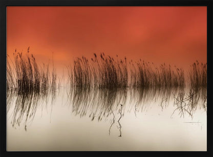 A minimalist landscape photograph in a silver frame, showing dark reeds silhouetted against a vibrant solid orange sky. The calm water perfectly reflects the reeds and the warm glow of the sky, creating a serene and abstract scene. Print
