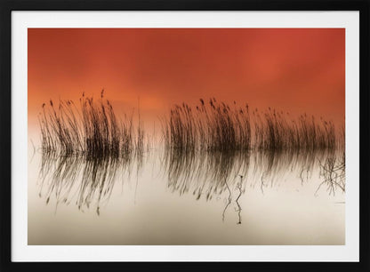 A minimalist landscape photograph in a silver frame, showing dark reeds silhouetted against a vibrant solid orange sky. The calm water perfectly reflects the reeds and the warm glow of the sky, creating a serene and abstract scene. Print