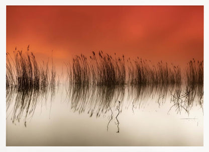 A minimalist landscape photograph in a silver frame, showing dark reeds silhouetted against a vibrant solid orange sky. The calm water perfectly reflects the reeds and the warm glow of the sky, creating a serene and abstract scene. Print