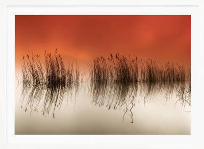 A minimalist landscape photograph in a silver frame, showing dark reeds silhouetted against a vibrant solid orange sky. The calm water perfectly reflects the reeds and the warm glow of the sky, creating a serene and abstract scene. Print