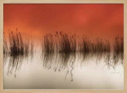 A minimalist landscape photograph in a silver frame, showing dark reeds silhouetted against a vibrant solid orange sky. The calm water perfectly reflects the reeds and the warm glow of the sky, creating a serene and abstract scene. Print