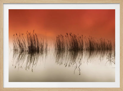 A minimalist landscape photograph in a silver frame, showing dark reeds silhouetted against a vibrant solid orange sky. The calm water perfectly reflects the reeds and the warm glow of the sky, creating a serene and abstract scene. Print