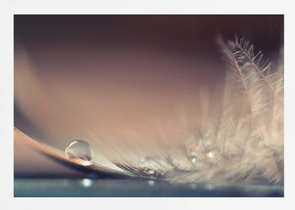 A serene macro photograph of a single, perfect water droplet resting on a delicate white feather. The background is a soft, warm gradient from dark to light brown, creating a peaceful and fragile mood. Artwork