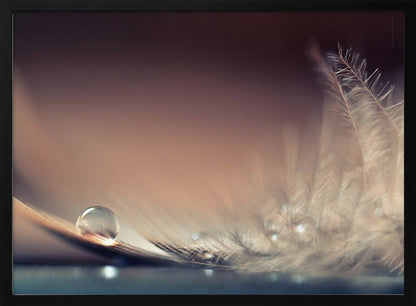 A serene macro photograph of a single, perfect water droplet resting on a delicate white feather. The background is a soft, warm gradient from dark to light brown, creating a peaceful and fragile mood. Artwork