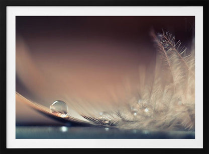 A serene macro photograph of a single, perfect water droplet resting on a delicate white feather. The background is a soft, warm gradient from dark to light brown, creating a peaceful and fragile mood. Artwork