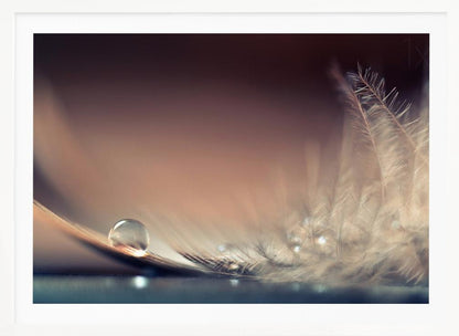 A serene macro photograph of a single, perfect water droplet resting on a delicate white feather. The background is a soft, warm gradient from dark to light brown, creating a peaceful and fragile mood. Artwork