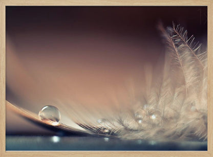 A serene macro photograph of a single, perfect water droplet resting on a delicate white feather. The background is a soft, warm gradient from dark to light brown, creating a peaceful and fragile mood. Artwork