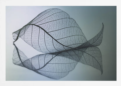 A close-up, macro photograph of a delicate skeleton leaf with intricate veins. The leaf is curled and resting on a reflective surface, creating a mirror image below it. The background is a soft, cool gradient from light blue to a darker muted teal. The image is presented within a brushed silver frame. Artwork