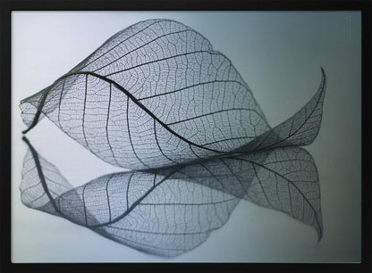 A close-up, macro photograph of a delicate skeleton leaf with intricate veins. The leaf is curled and resting on a reflective surface, creating a mirror image below it. The background is a soft, cool gradient from light blue to a darker muted teal. The image is presented within a brushed silver frame. Artwork