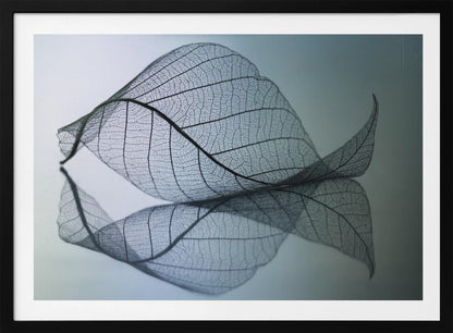 A close-up, macro photograph of a delicate skeleton leaf with intricate veins. The leaf is curled and resting on a reflective surface, creating a mirror image below it. The background is a soft, cool gradient from light blue to a darker muted teal. The image is presented within a brushed silver frame. Artwork