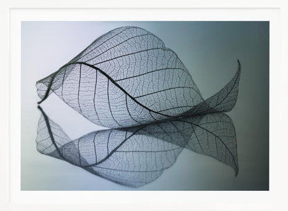 A close-up, macro photograph of a delicate skeleton leaf with intricate veins. The leaf is curled and resting on a reflective surface, creating a mirror image below it. The background is a soft, cool gradient from light blue to a darker muted teal. The image is presented within a brushed silver frame. Artwork