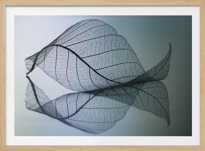 A close-up, macro photograph of a delicate skeleton leaf with intricate veins. The leaf is curled and resting on a reflective surface, creating a mirror image below it. The background is a soft, cool gradient from light blue to a darker muted teal. The image is presented within a brushed silver frame. Artwork