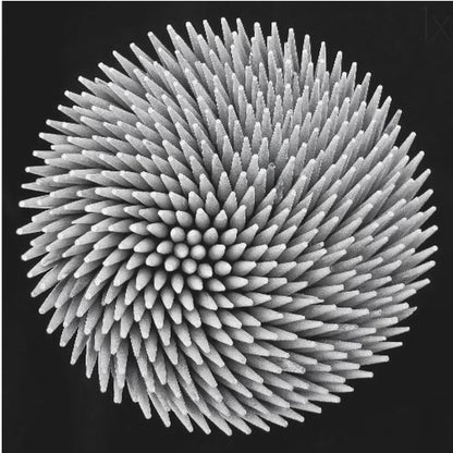 A framed, black and white, top-down macro photograph of a dense, circular bundle of wooden toothpicks. The points of the toothpicks radiate outwards in a swirling, spiral pattern, creating a highly textured and spiky sphere against a solid black background. Artwork
