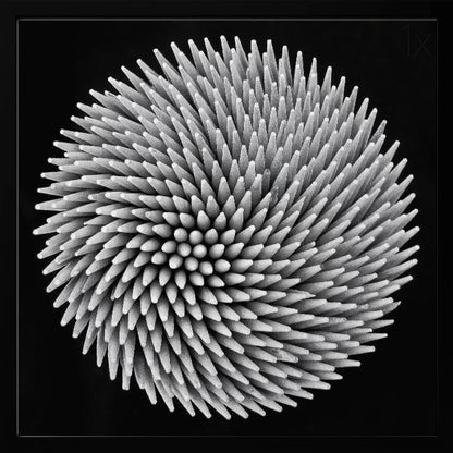 A framed, black and white, top-down macro photograph of a dense, circular bundle of wooden toothpicks. The points of the toothpicks radiate outwards in a swirling, spiral pattern, creating a highly textured and spiky sphere against a solid black background. Artwork
