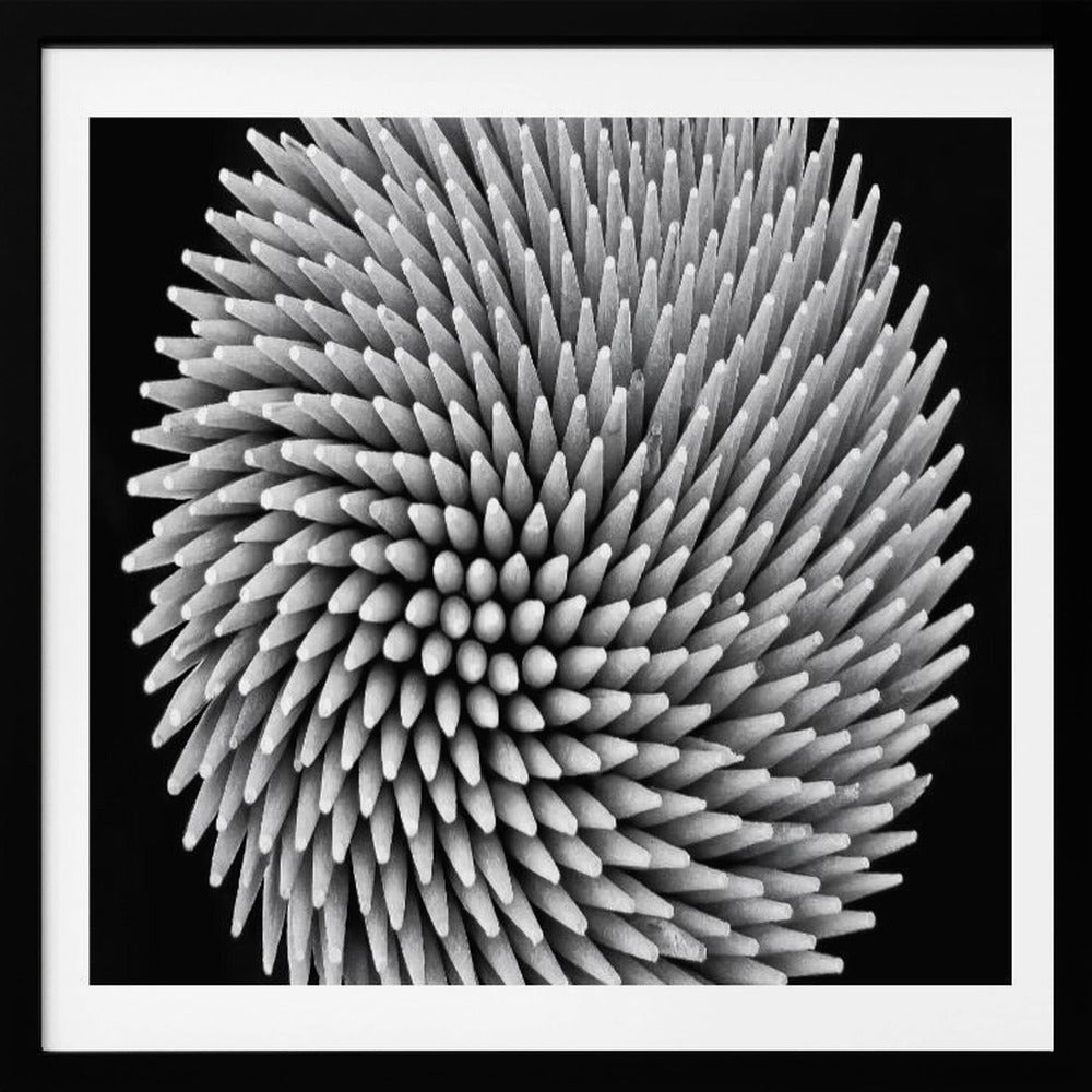 A framed, black and white, top-down macro photograph of a dense, circular bundle of wooden toothpicks. The points of the toothpicks radiate outwards in a swirling, spiral pattern, creating a highly textured and spiky sphere against a solid black background. Artwork