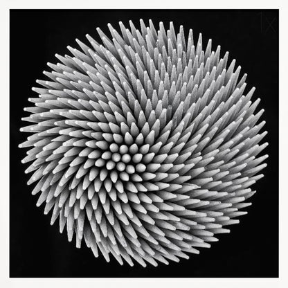 A framed, black and white, top-down macro photograph of a dense, circular bundle of wooden toothpicks. The points of the toothpicks radiate outwards in a swirling, spiral pattern, creating a highly textured and spiky sphere against a solid black background. Artwork