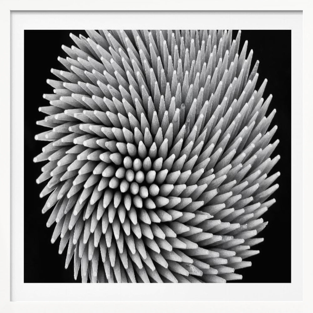 A framed, black and white, top-down macro photograph of a dense, circular bundle of wooden toothpicks. The points of the toothpicks radiate outwards in a swirling, spiral pattern, creating a highly textured and spiky sphere against a solid black background. Artwork