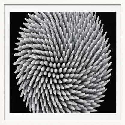 A framed, black and white, top-down macro photograph of a dense, circular bundle of wooden toothpicks. The points of the toothpicks radiate outwards in a swirling, spiral pattern, creating a highly textured and spiky sphere against a solid black background. Artwork
