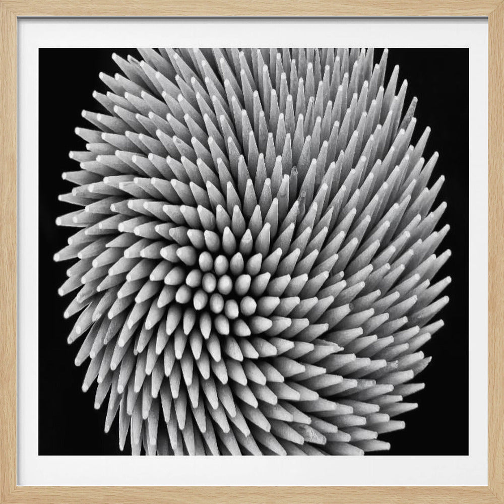 A framed, black and white, top-down macro photograph of a dense, circular bundle of wooden toothpicks. The points of the toothpicks radiate outwards in a swirling, spiral pattern, creating a highly textured and spiky sphere against a solid black background. Artwork