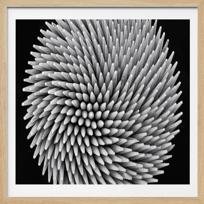 A framed, black and white, top-down macro photograph of a dense, circular bundle of wooden toothpicks. The points of the toothpicks radiate outwards in a swirling, spiral pattern, creating a highly textured and spiky sphere against a solid black background. Artwork
