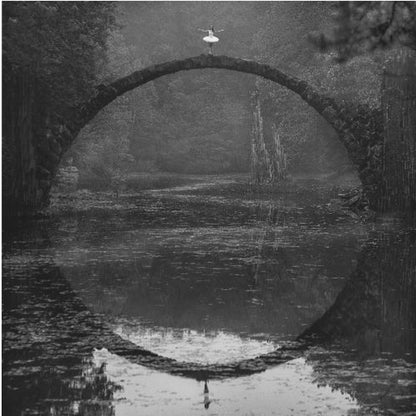 A framed black and white photograph of a ballerina in a white tutu standing at the peak of a semi-circular stone bridge. The bridge and the ballerina are perfectly reflected in the still water below, creating a full circle. The scene is set in a dark, misty forest, giving it a surreal and moody atmosphere. Artwork