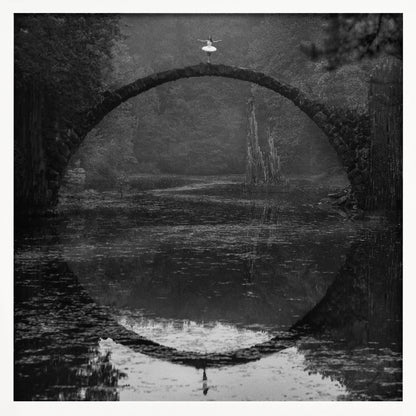 A framed black and white photograph of a ballerina in a white tutu standing at the peak of a semi-circular stone bridge. The bridge and the ballerina are perfectly reflected in the still water below, creating a full circle. The scene is set in a dark, misty forest, giving it a surreal and moody atmosphere. Artwork