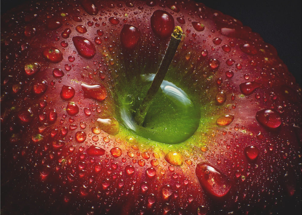 Red Apple - Poster / Art Print