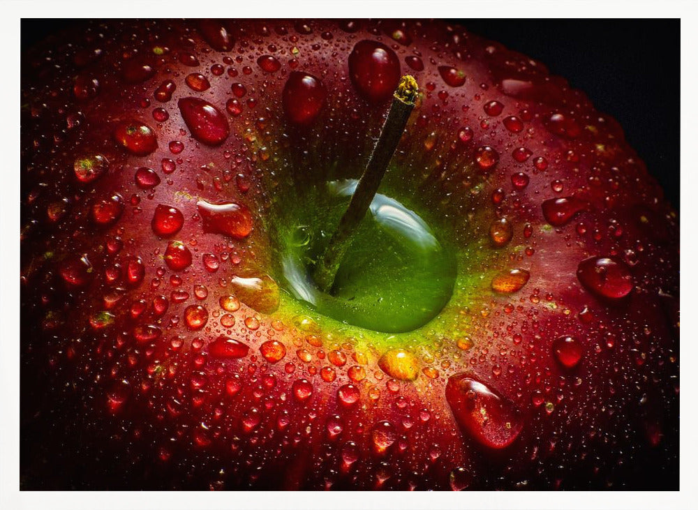 Red Apple - Poster / Art Print