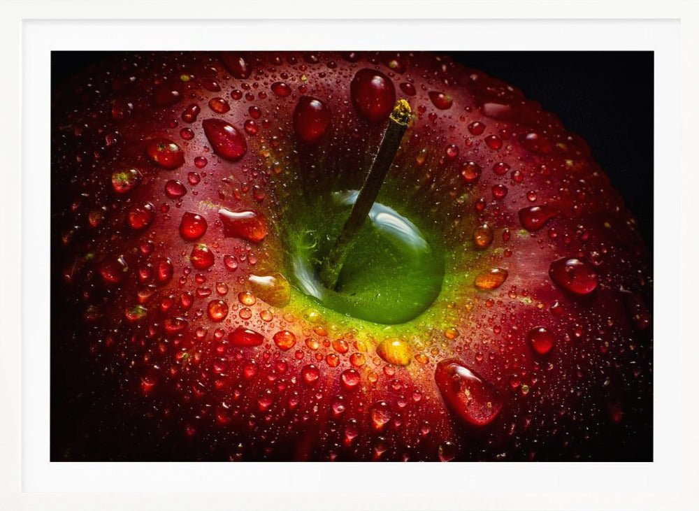 Red Apple - Poster / Art Print