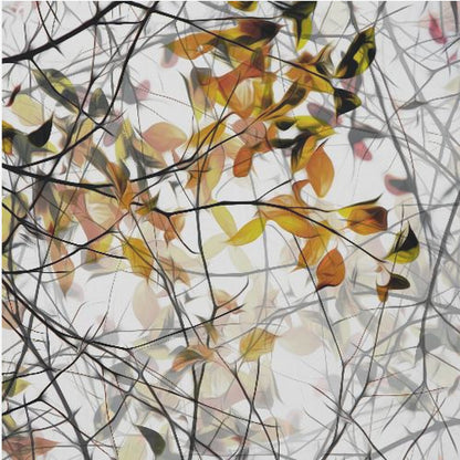 An abstract artwork in a light wood frame featuring a dense tangle of black and grey branches interwoven with soft, glowing autumn leaves in shades of orange and yellow against a white background. Poster