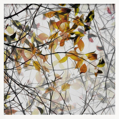 An abstract artwork in a light wood frame featuring a dense tangle of black and grey branches interwoven with soft, glowing autumn leaves in shades of orange and yellow against a white background. Poster