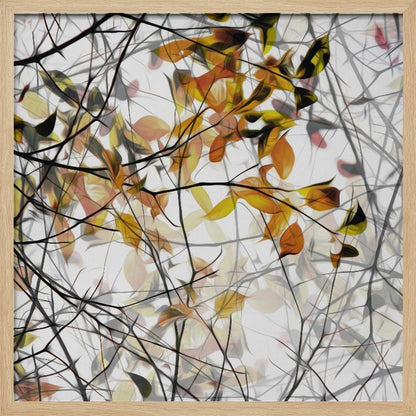 An abstract artwork in a light wood frame featuring a dense tangle of black and grey branches interwoven with soft, glowing autumn leaves in shades of orange and yellow against a white background. Poster