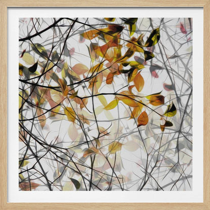 An abstract artwork in a light wood frame featuring a dense tangle of black and grey branches interwoven with soft, glowing autumn leaves in shades of orange and yellow against a white background. Poster