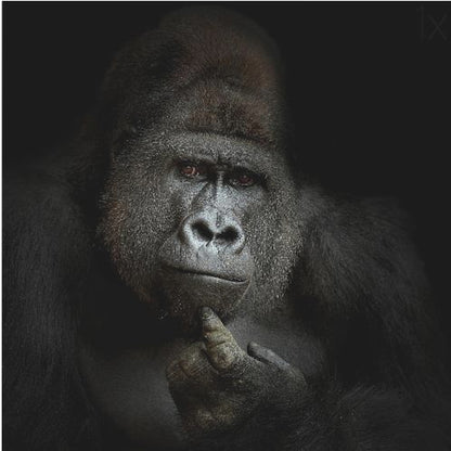 A dramatic, framed portrait of a gorilla against a black background. The gorilla looks directly at the viewer with a thoughtful expression, its chin resting on its hand. Decor