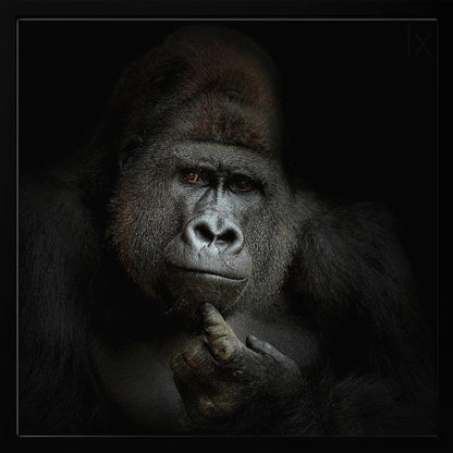 A dramatic, framed portrait of a gorilla against a black background. The gorilla looks directly at the viewer with a thoughtful expression, its chin resting on its hand. Decor