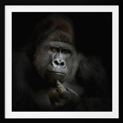 A dramatic, framed portrait of a gorilla against a black background. The gorilla looks directly at the viewer with a thoughtful expression, its chin resting on its hand. Decor