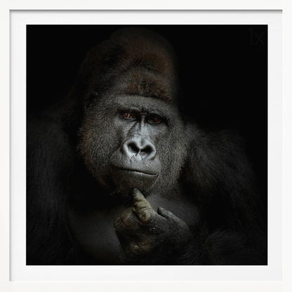 A dramatic, framed portrait of a gorilla against a black background. The gorilla looks directly at the viewer with a thoughtful expression, its chin resting on its hand. Decor