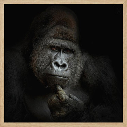 A dramatic, framed portrait of a gorilla against a black background. The gorilla looks directly at the viewer with a thoughtful expression, its chin resting on its hand. Decor