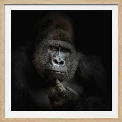A dramatic, framed portrait of a gorilla against a black background. The gorilla looks directly at the viewer with a thoughtful expression, its chin resting on its hand. Decor
