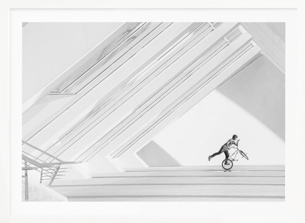 bicycle art - Poster / Art Print