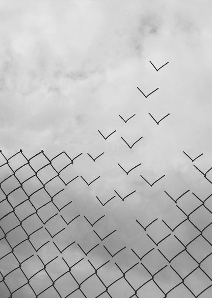 A conceptual black and white artwork showing a chain-link fence against a cloudy sky. A part of the fence is breaking apart, with the individual links transforming into a flock of birds flying away, symbolizing freedom and escape. Artwork